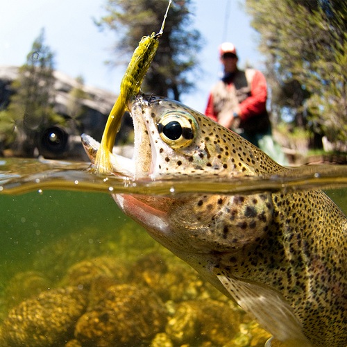 ODDSPRO 78pCS Fly Fishing Flies Kit, Fly Fishing Lures